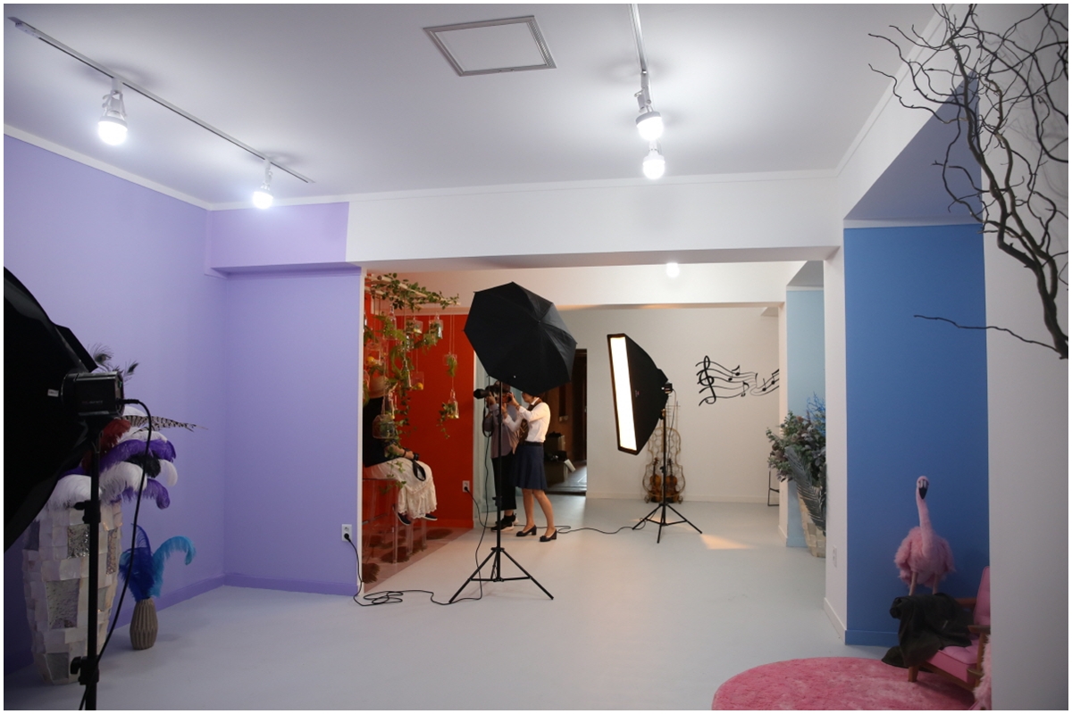 provence studio